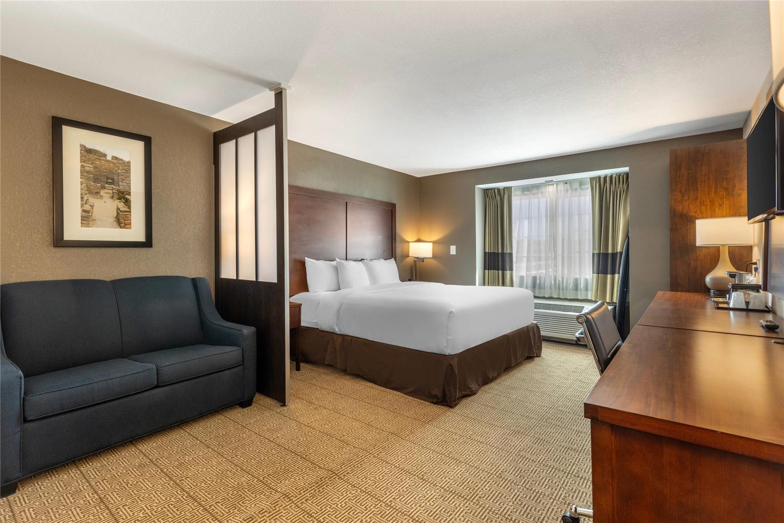 COMFORT INN AND SUITES AZTEC - FARM-guestroom-Guest Room,Suite,On-Site.jpg