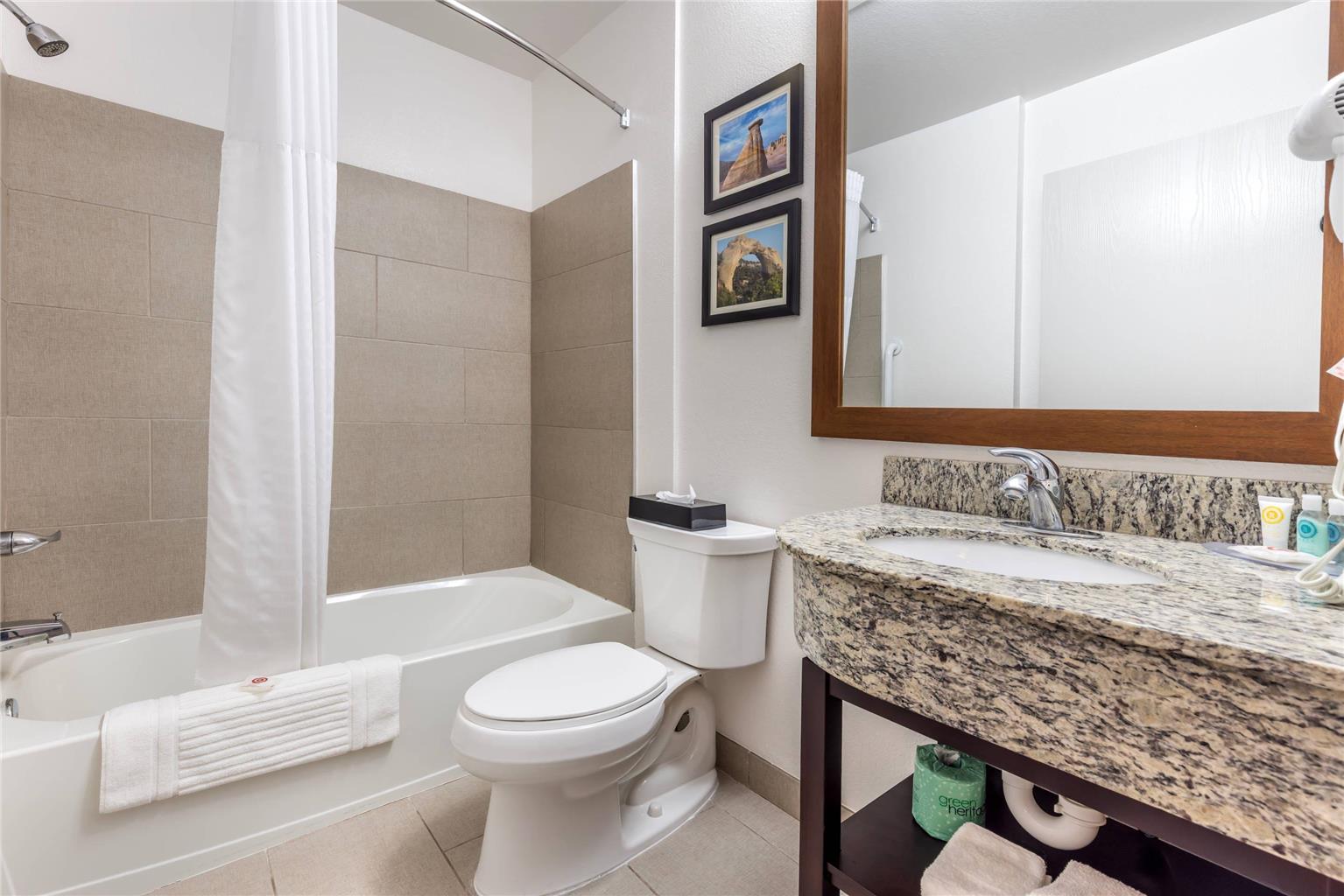 COMFORT INN AND SUITES AZTEC - FARM-guestroom-Guest Room,Bathroom,On-Site.jpg
