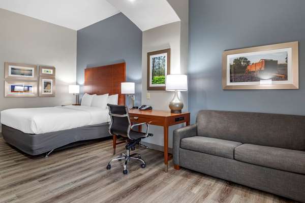 Suite - Comfort Inn & Suites Cleveland