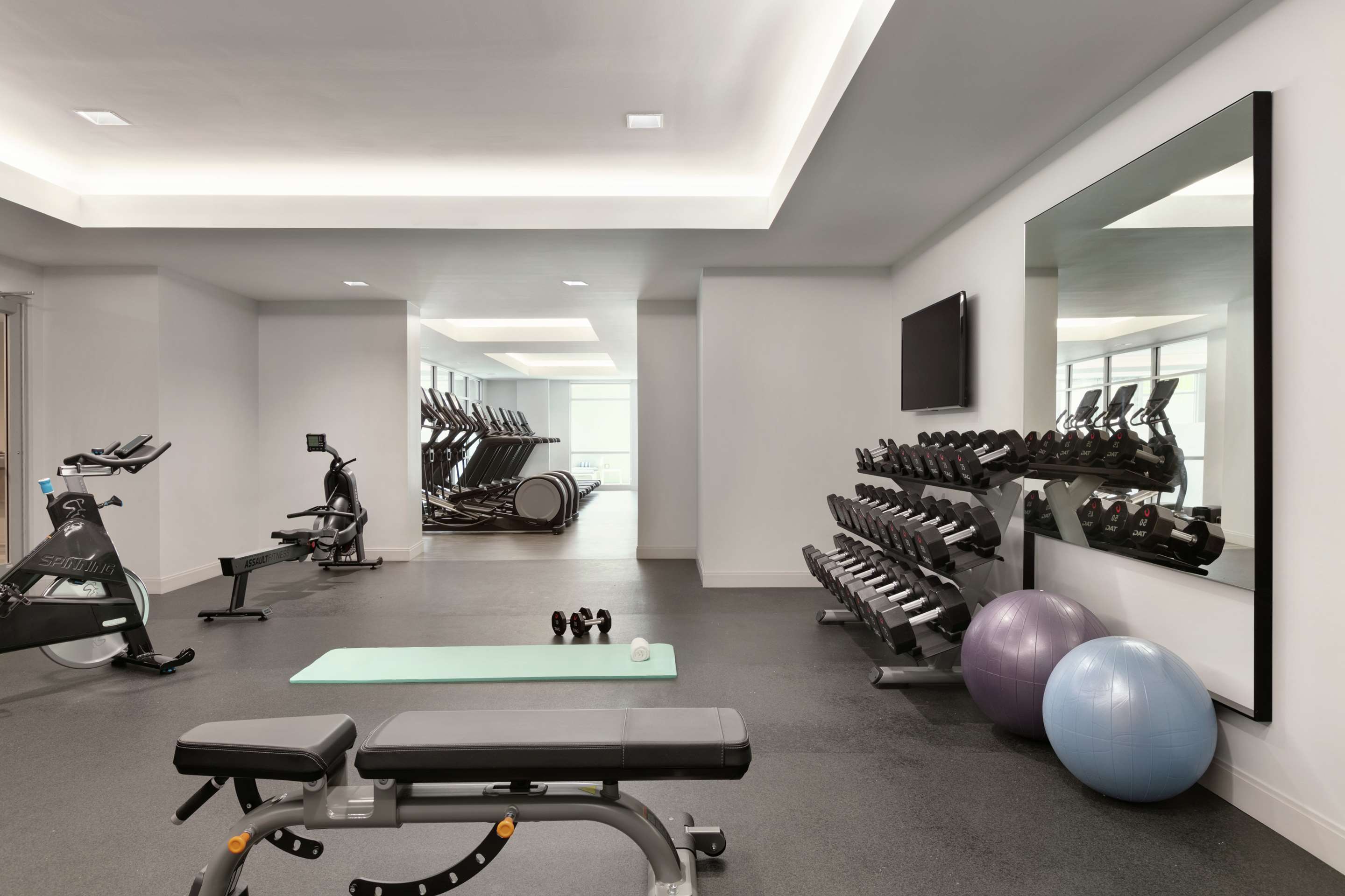 Health club fitness center gym