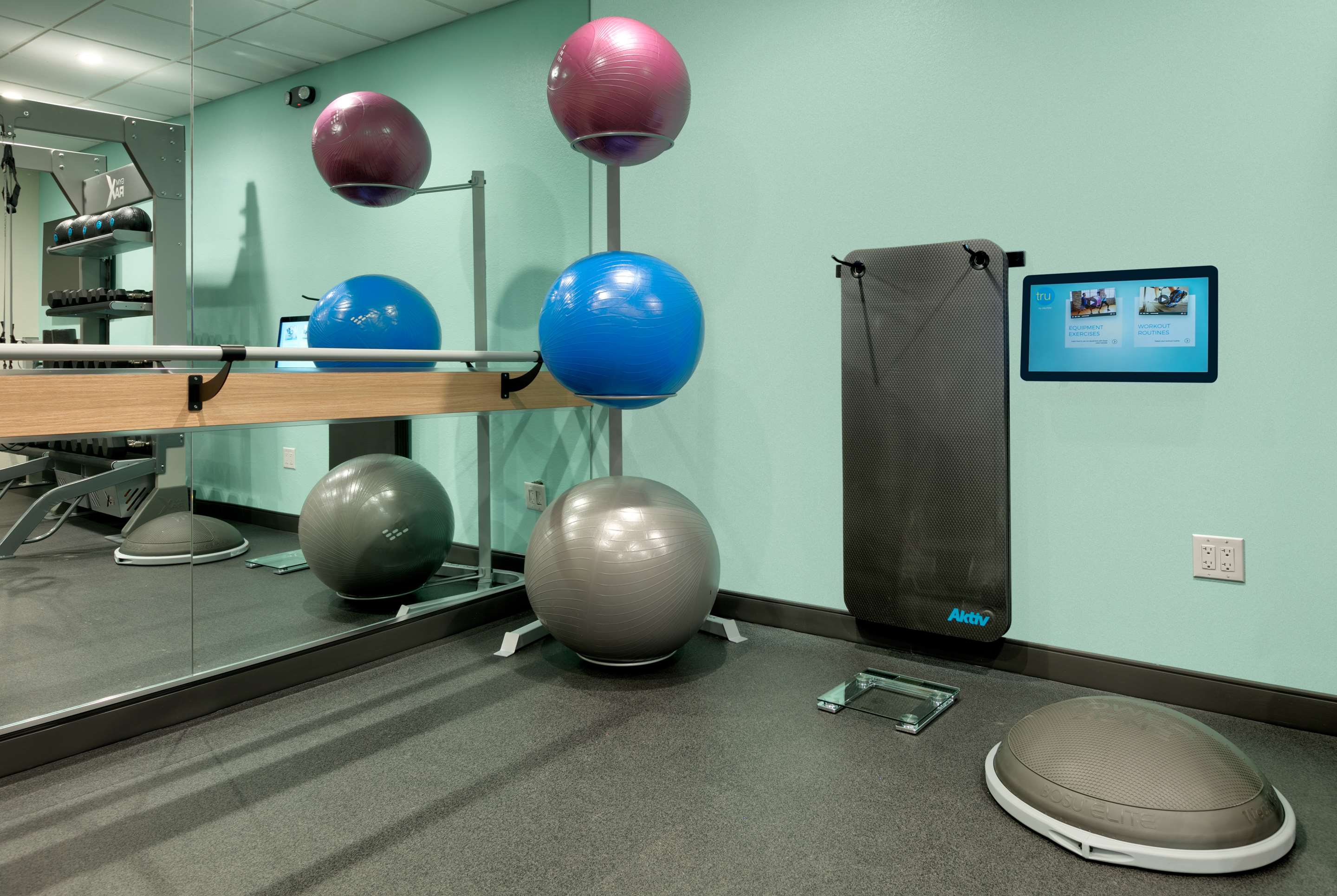 Health club fitness center gym