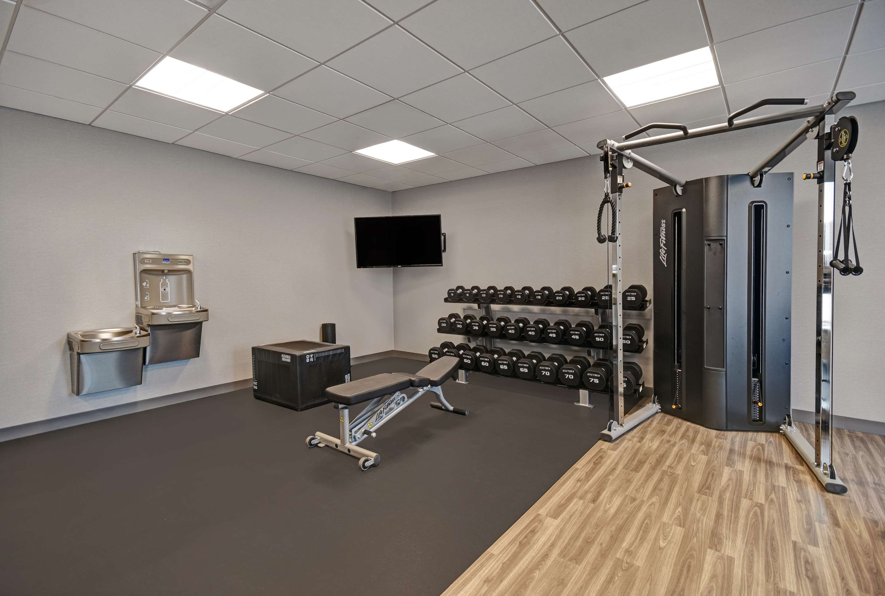 Health club fitness center gym