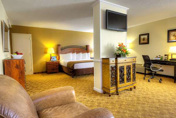  - Village Inn Hotel & Event Center Clemmons - I-40, Exit 184