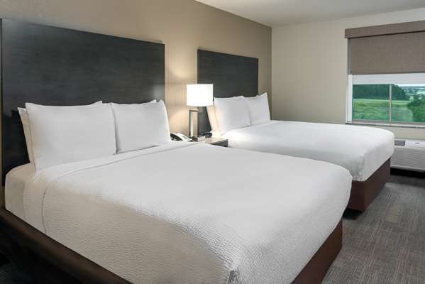  - Ameniti Bay Hotel Sarasota - I-75, Exit 210