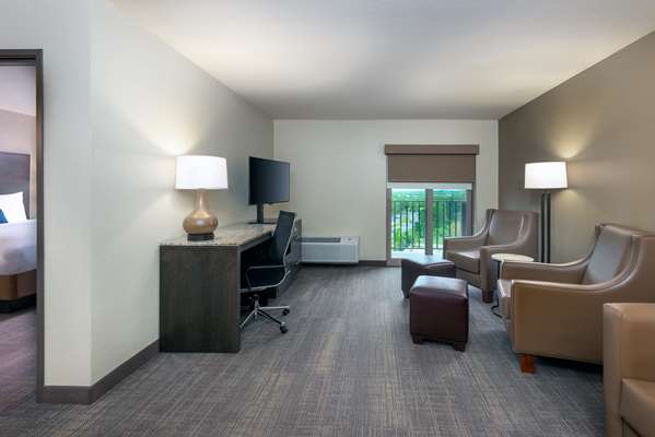 Suite - Ameniti Bay Hotel Sarasota - I-75, Exit 210