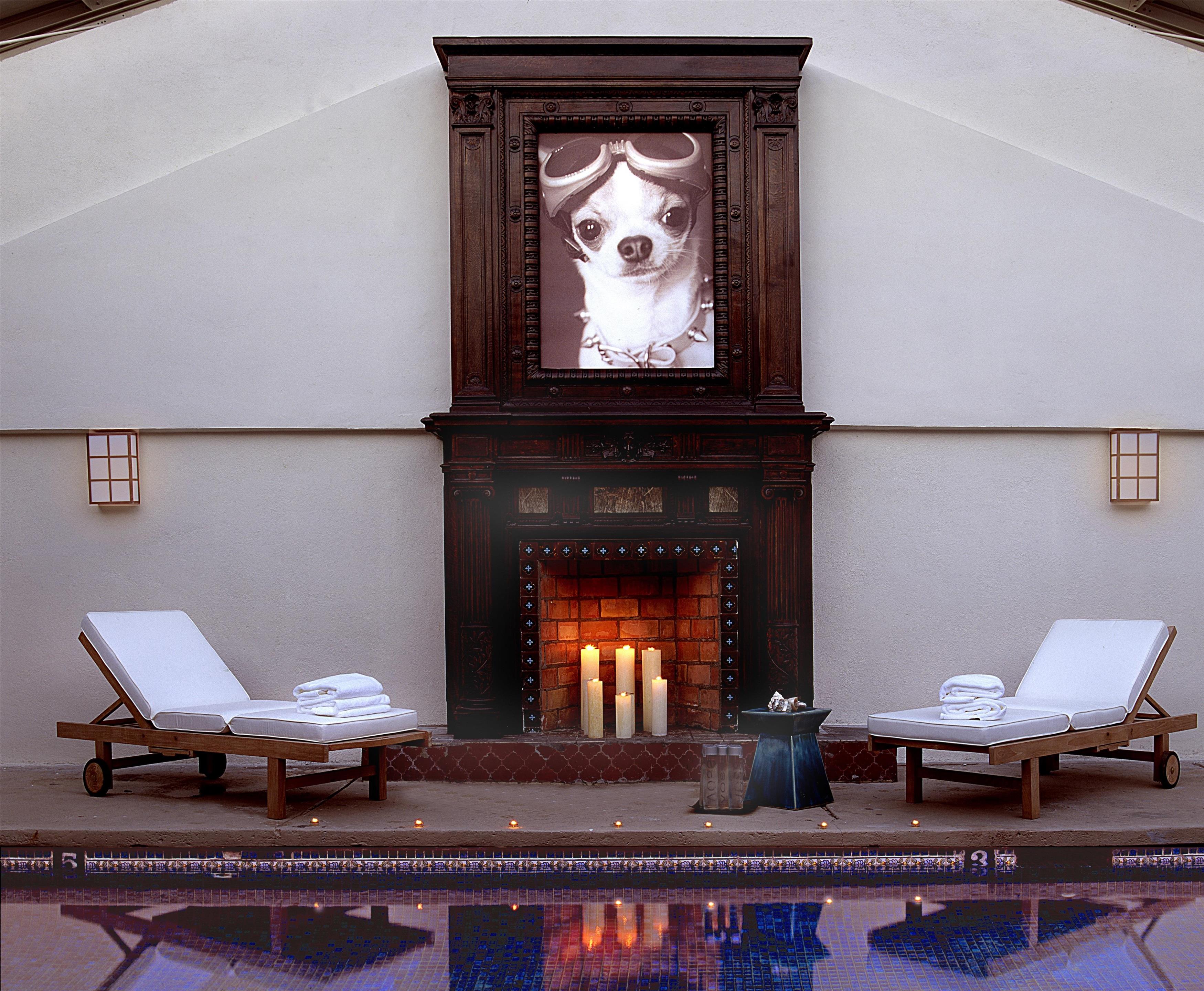 Pool | Belamar Hotel Manhattan Beach, Tapestry Collection by Hilton