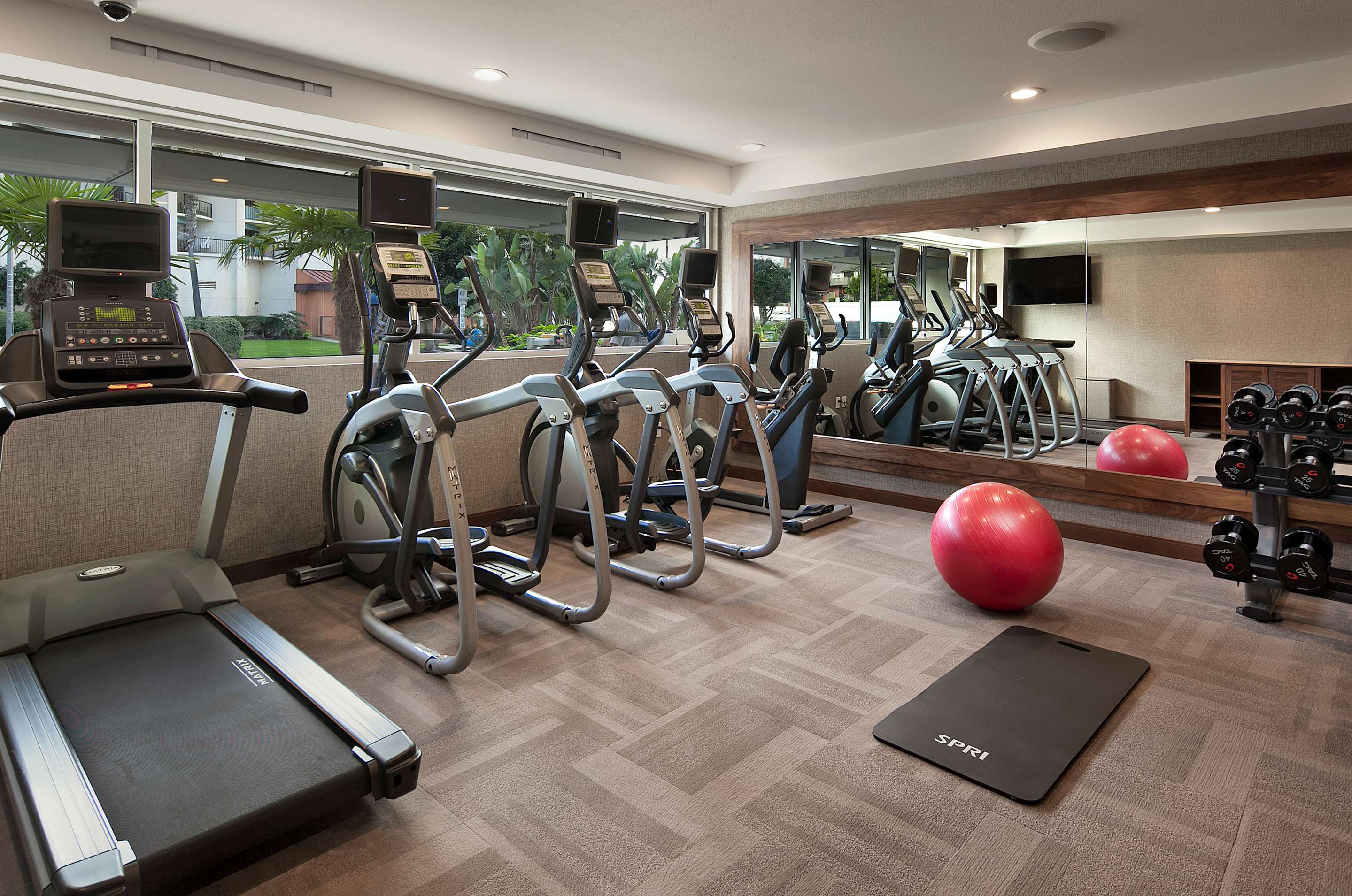 Health club fitness center gym
