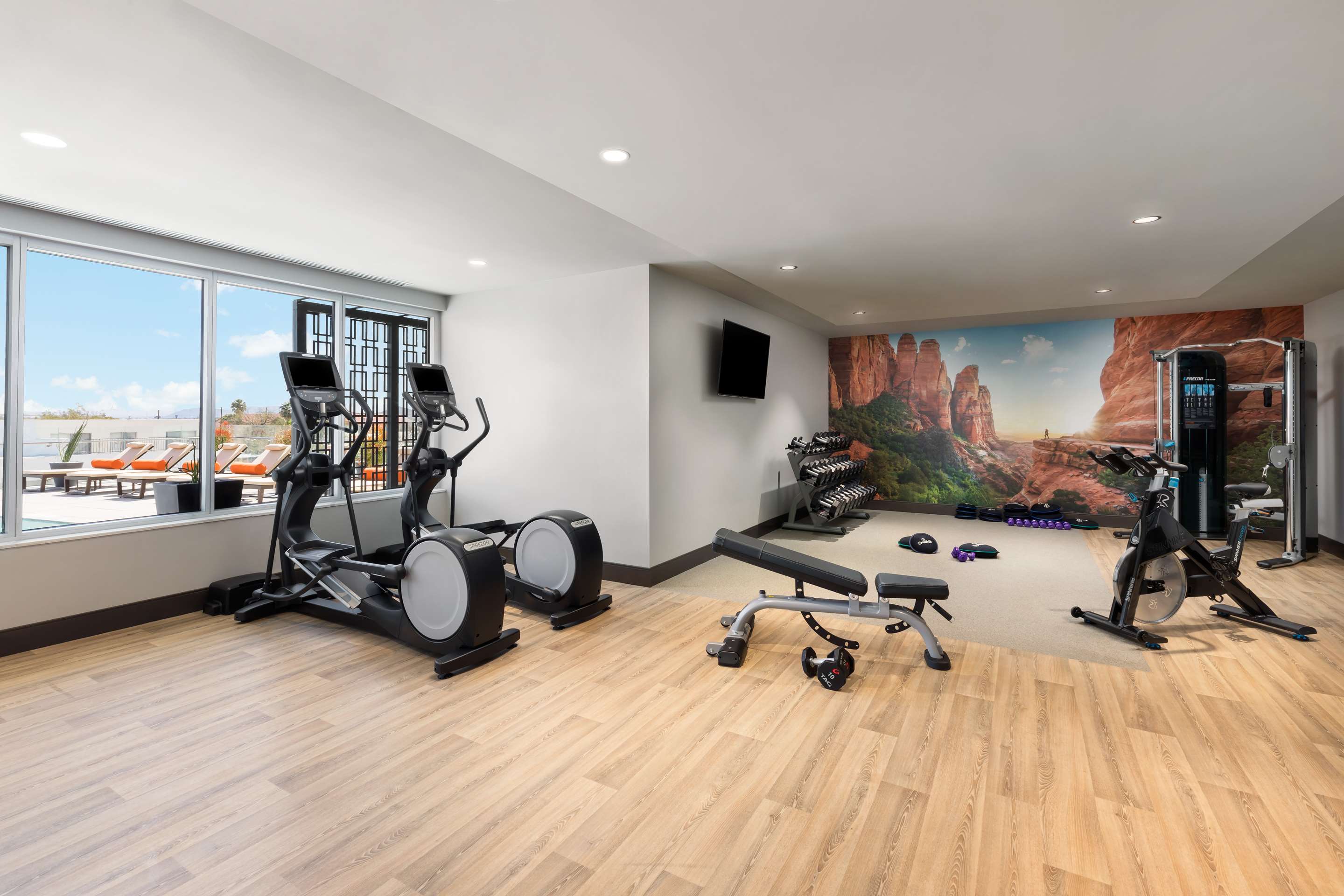 Health club fitness center gym
