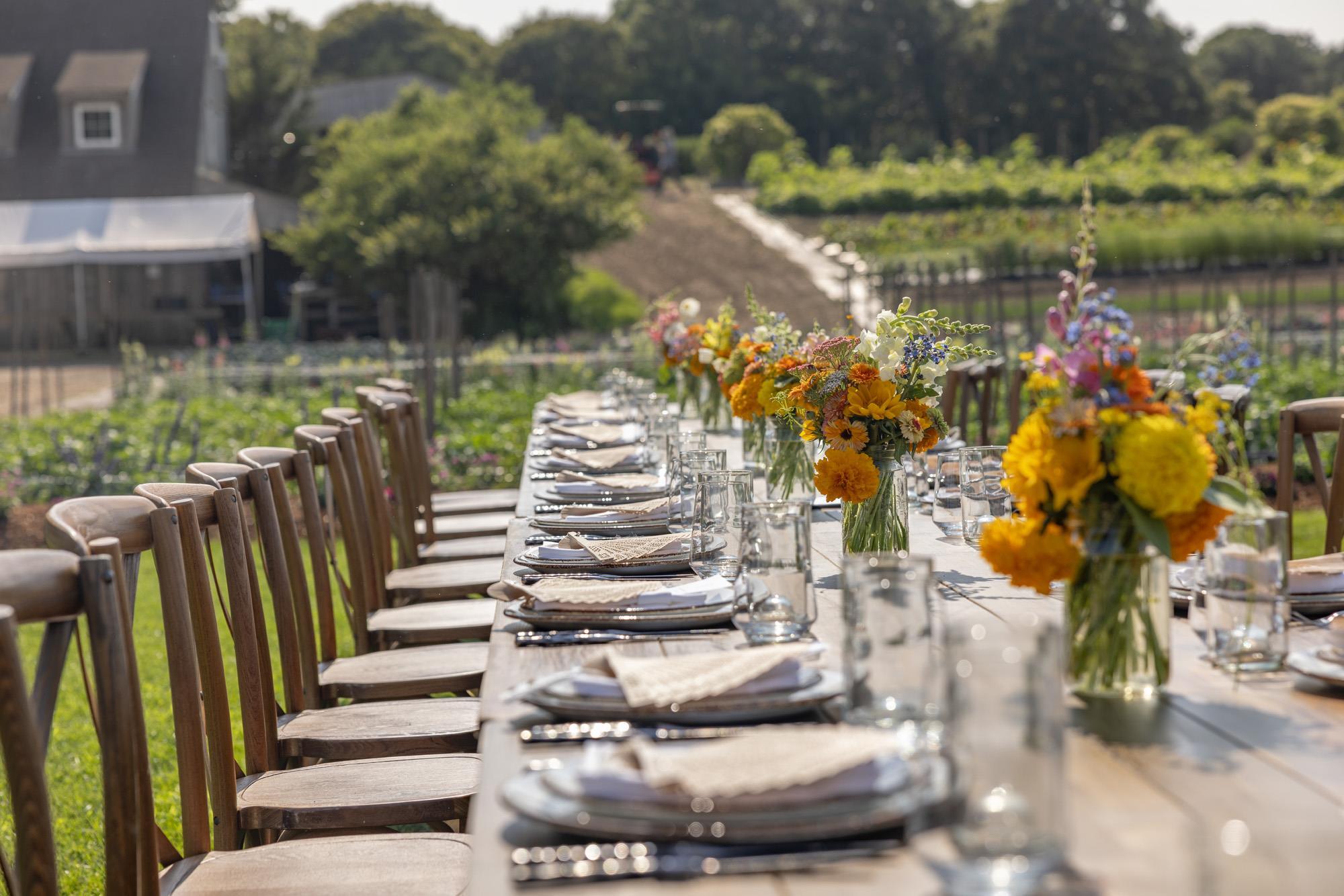 lowres CBI Farm | Chatham Bars Inn