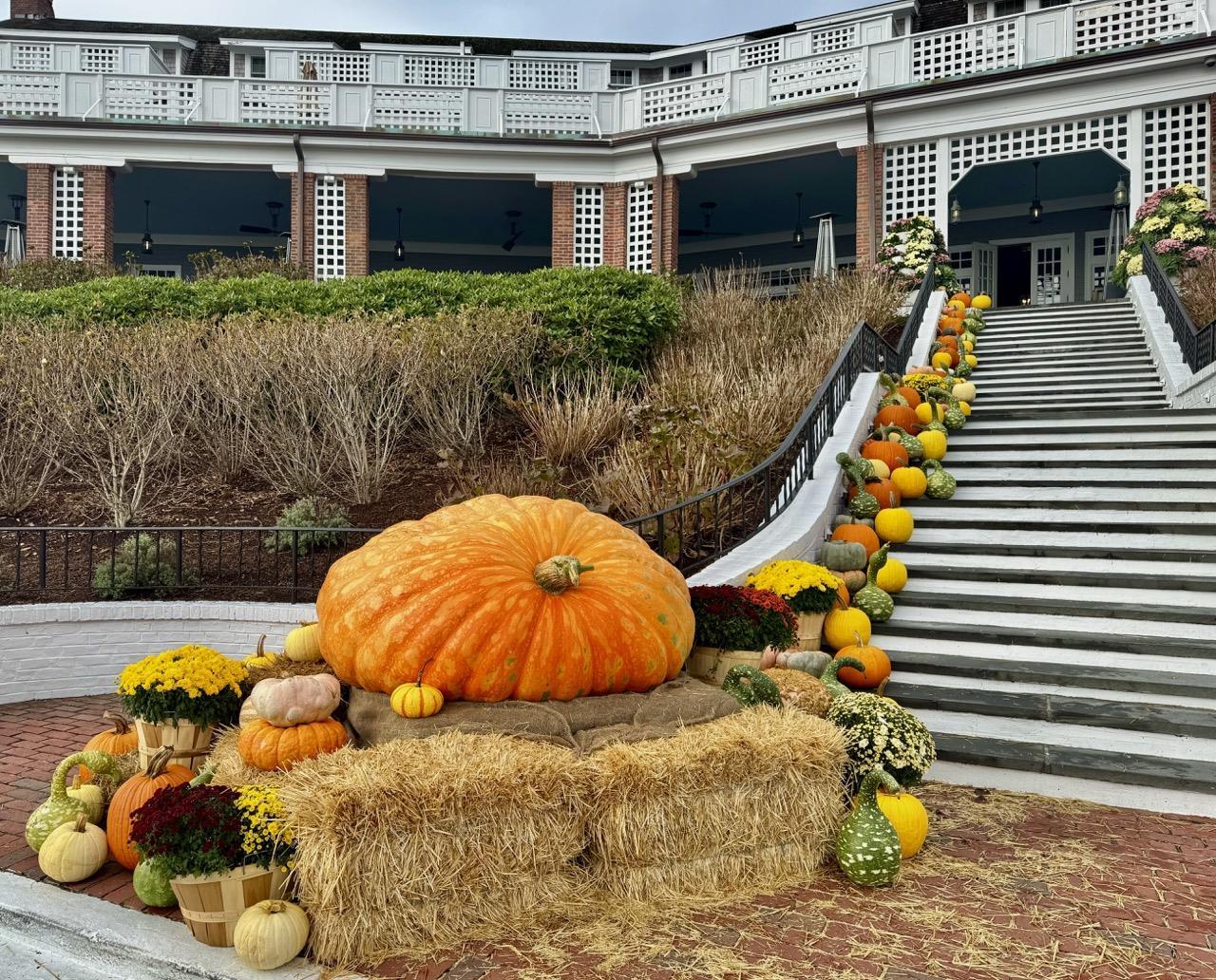 Giant Pumpkin sm file | Chatham Bars Inn