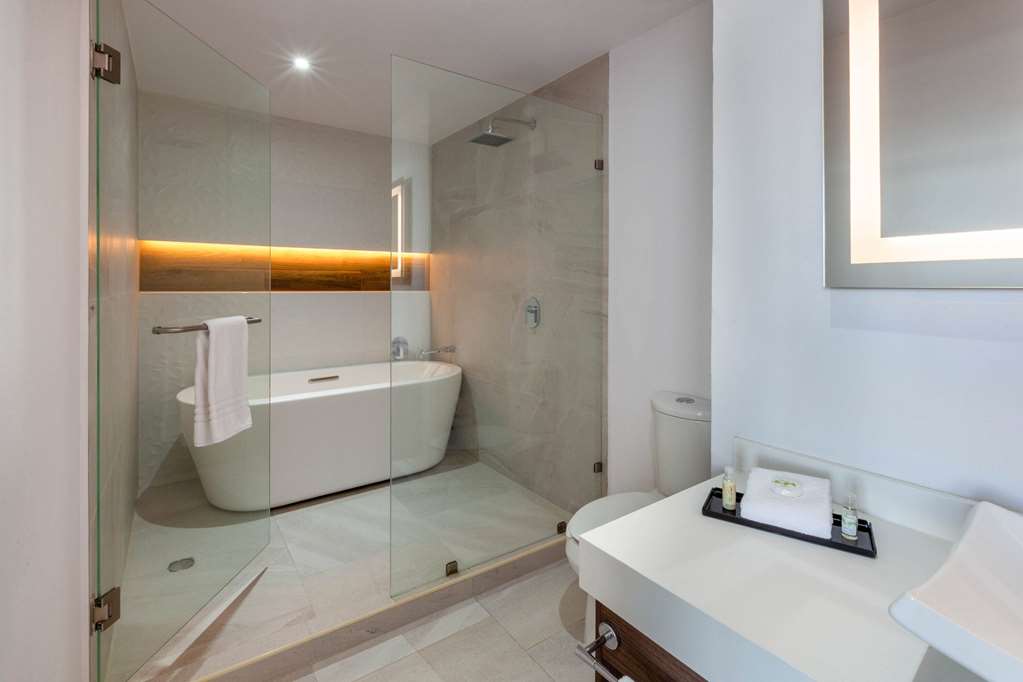 WYNDHAM PUEBLA ANGELOPOLIS-guestroom-Guest Room,Bathroom,On-Site.jpg