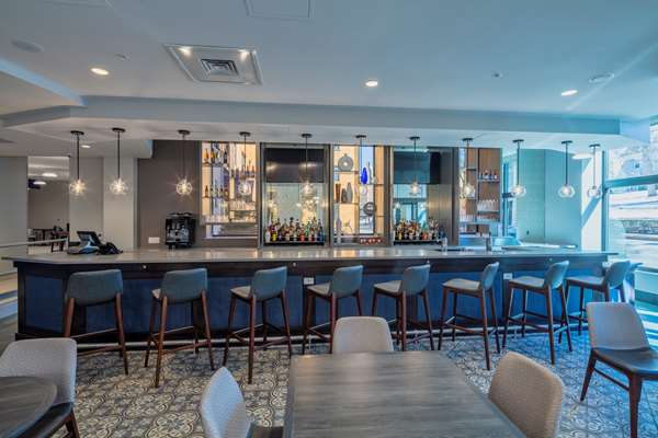 Bar - Scholar State College Hotel