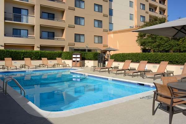 Pool - Sonesta Select Hotel Central Expressway Dallas