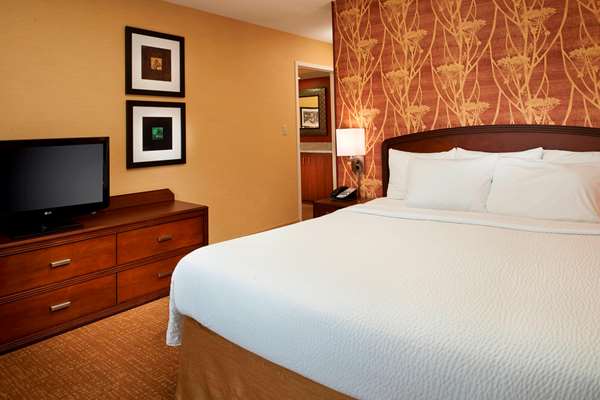 Suite - Sonesta Select Hotel Novi - I-96, Exit 162