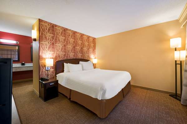 Suite - Sonesta Select Hotel Novi - I-96, Exit 162