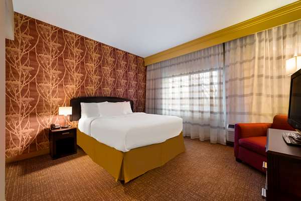 Suite - Sonesta Select Hotel Novi - I-96, Exit 162