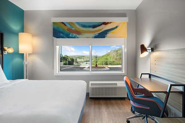  - Tru by Hilton Hotel Cartersville