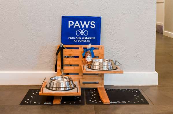  - Sonesta Simply Suites Falls Church