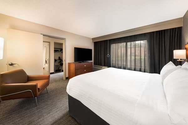 Suite - Sonesta Select Hotel Airport San Jose