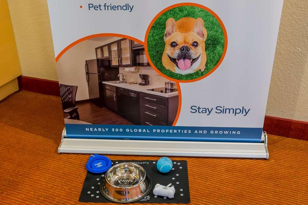 SONESTA SIMPLY SUITES NOVI-guestroom-Guest Room,Guest Room Amenity,On-Site.jpg