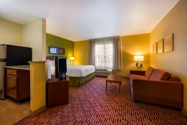 Suite - Sonesta Simply Suites Novi - I-96, Exit 162