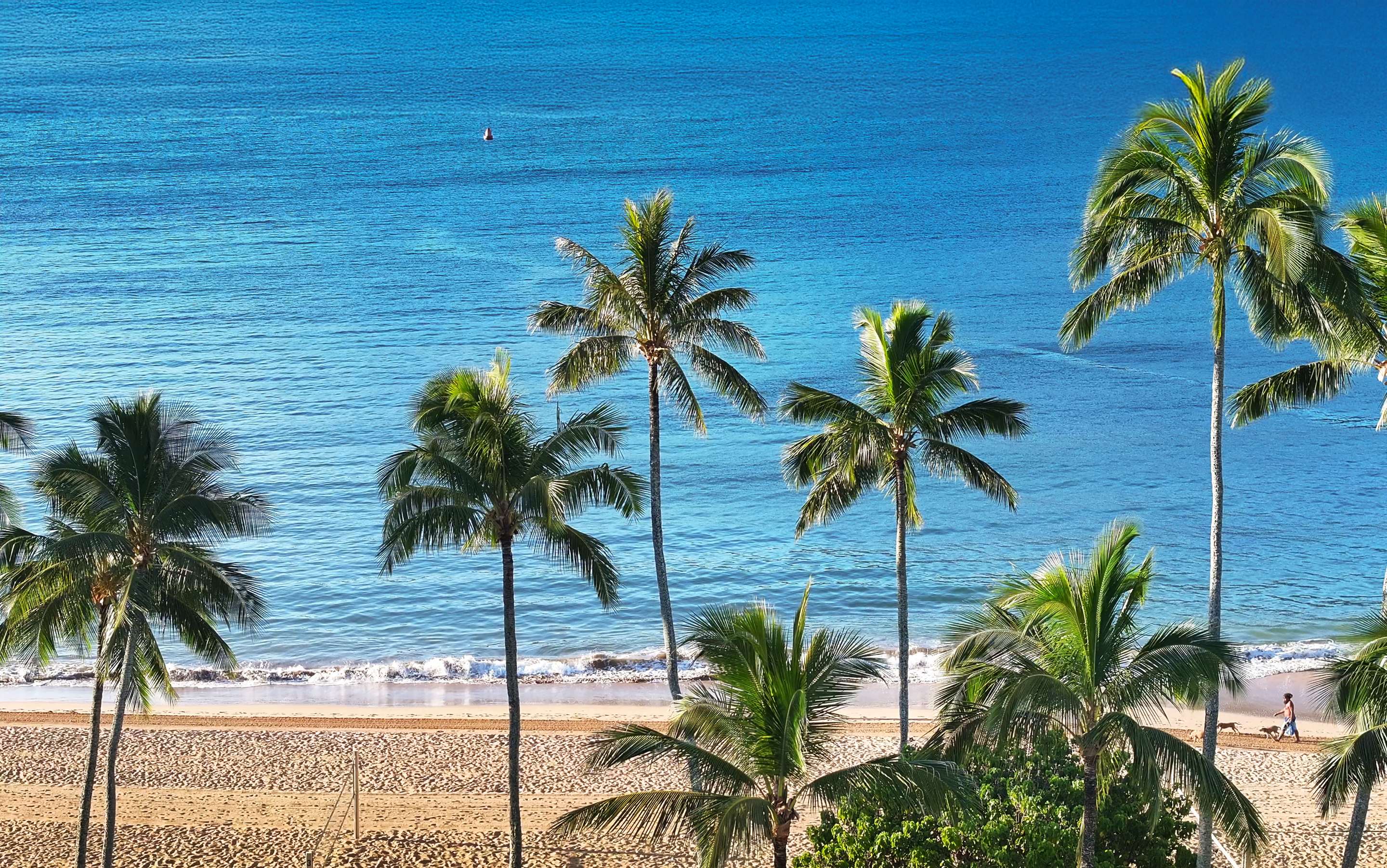 TRS Kauai Exterior Kalapaki Beach | The Royal Sonesta Kaua'i Resort Lihue