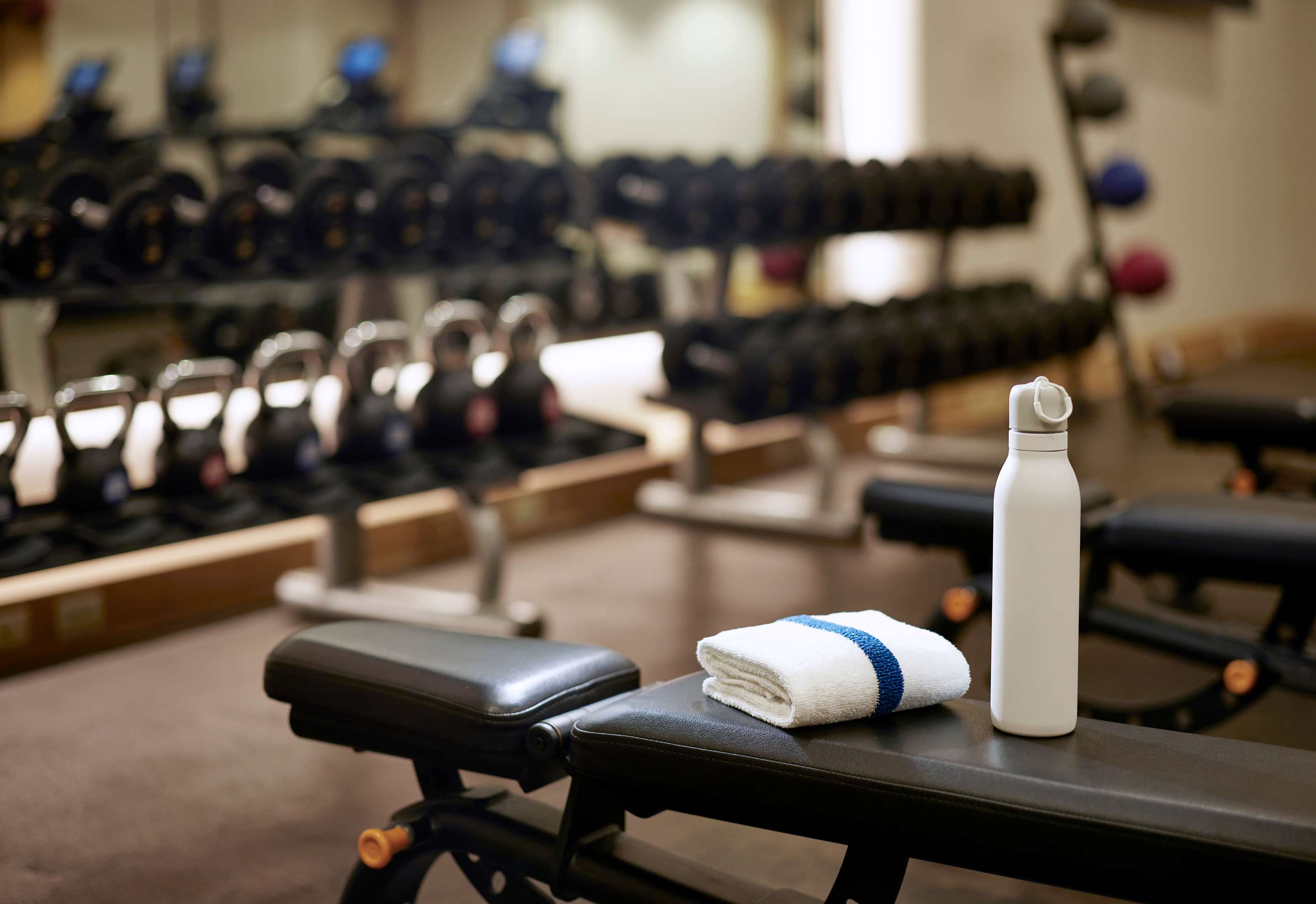 TRS Kauai Amenity Fitness Center Gym Weights | The Royal Sonesta Kaua'i Resort Lihue