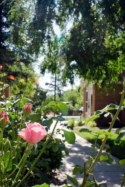  - Sonesta ES Suites Fresno