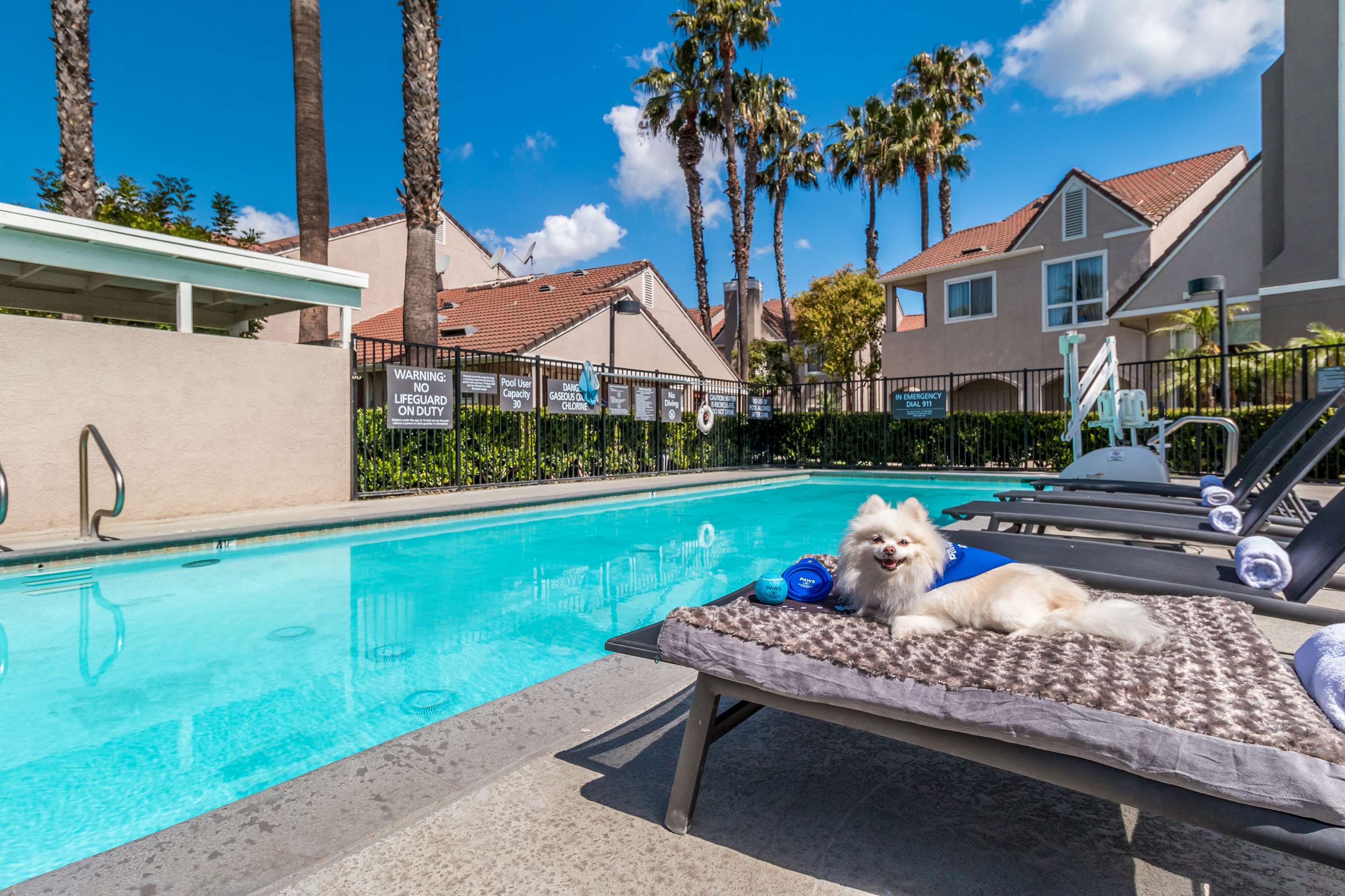 Outdoor pool | Sonesta ES Suites Huntington Beach Fountain Valley