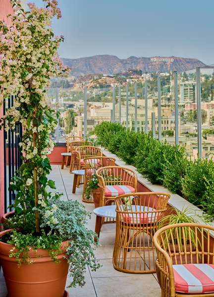 Bar - Thompson Hotel Hollywood