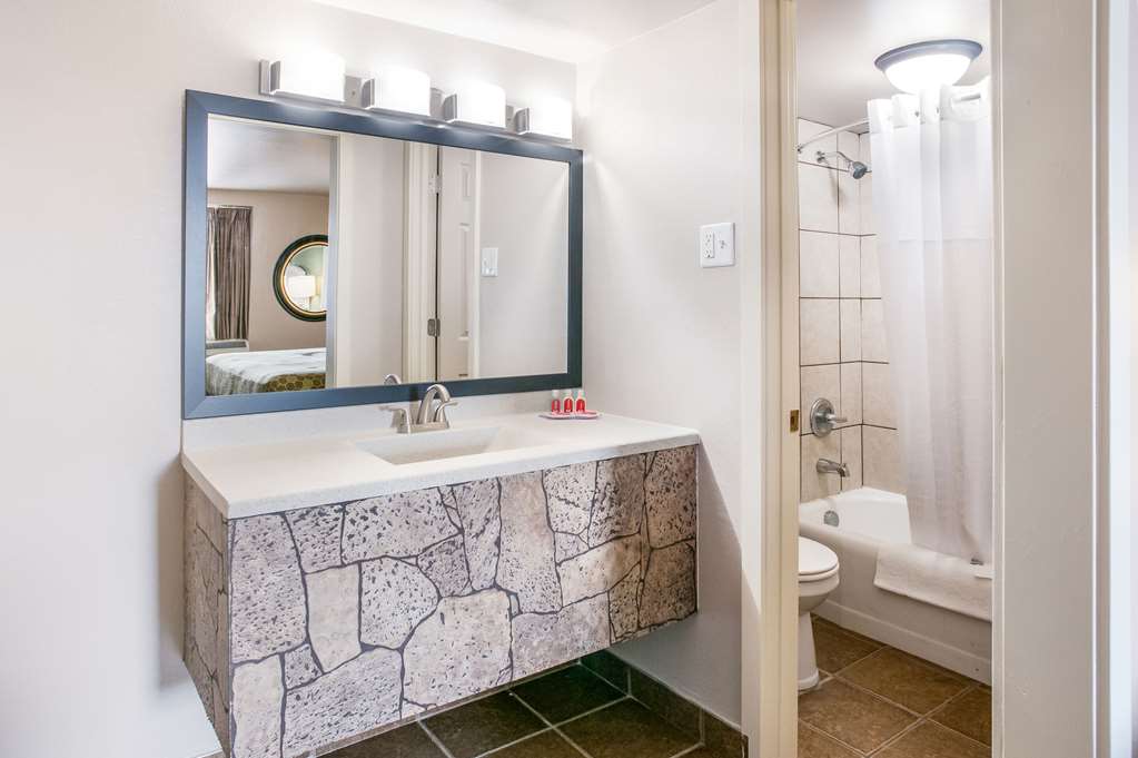 SUBURBAN STUDIOS NEENAH-APPLETON-guestroom-Guest Room,Bathroom,On-Site.jpg