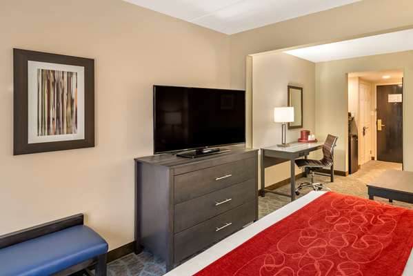  - Comfort Suites Alpharetta
