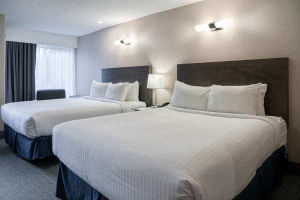  - Red Carpet Inn Banff