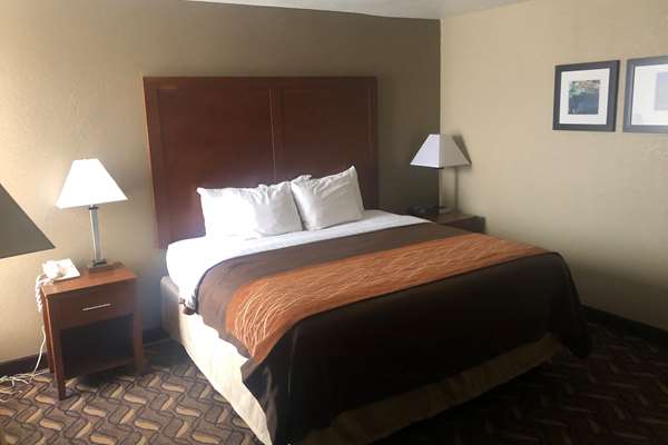 1 King Bed, Non-Smoking