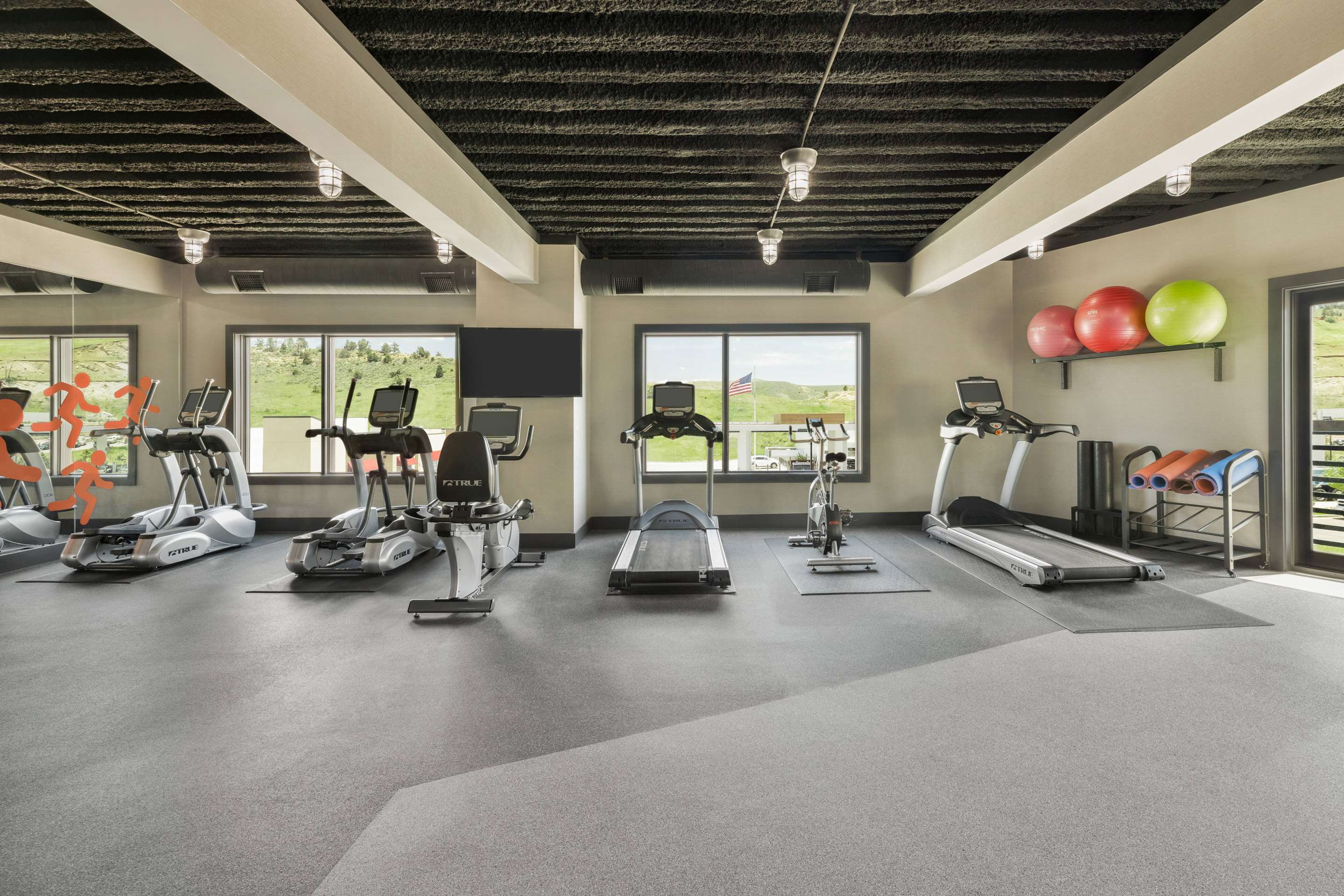 Health club fitness center gym