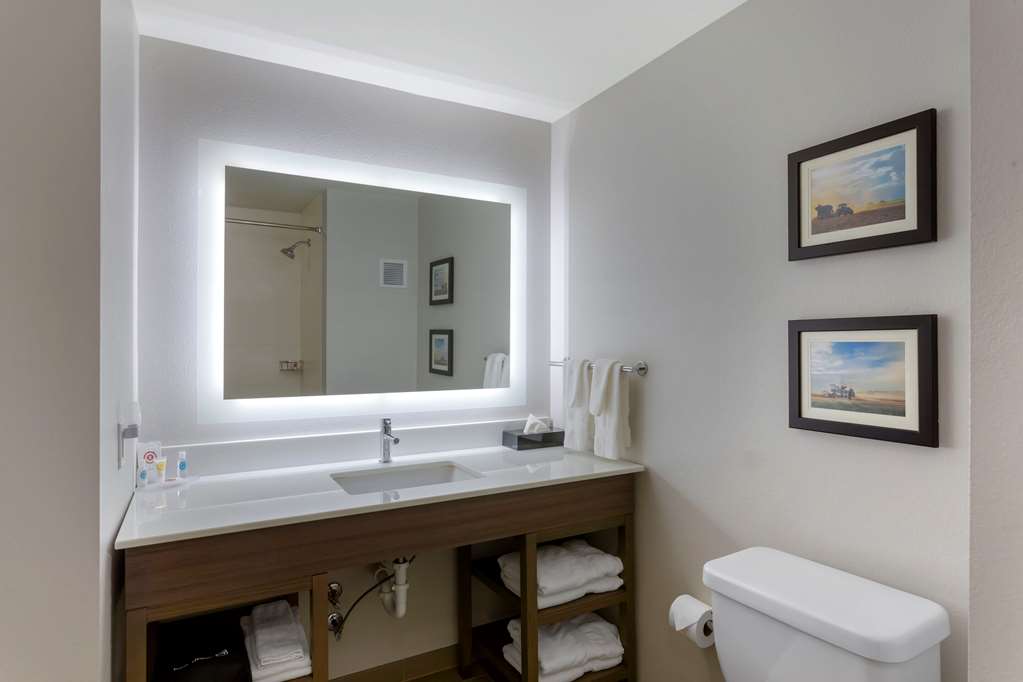 COMFORT INN JONESBORO-guestroom-Guest Room,Bathroom,On-Site.jpg