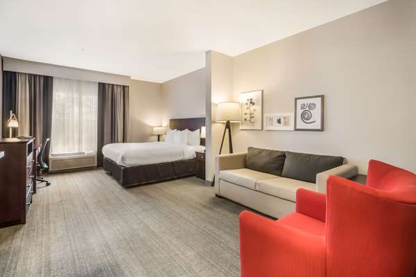 Suite - Comfort Inn & Suites Fairburn - I-85, Exit 61