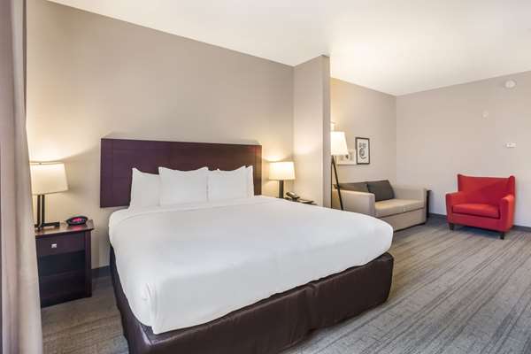 Suite - Comfort Inn & Suites Fairburn - I-85, Exit 61