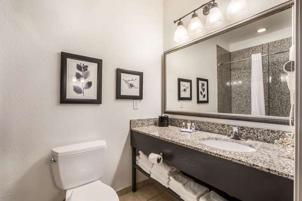  - Comfort Inn & Suites Fairburn - I-85, Exit 61