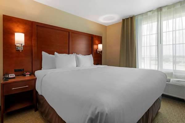 Suite - Comfort Inn & Suites Euless