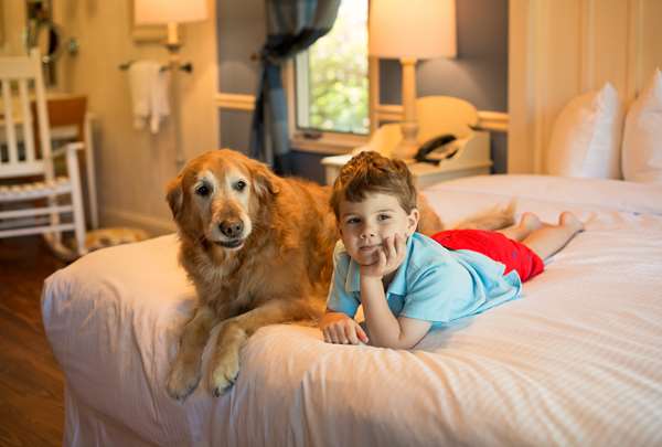  - Lanier Islands Legacy Lodge