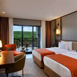 ELITE WORLD GRAND SAPANCA-guestroom-Guest Room,Guest Room Amenity,On-Site.jpg