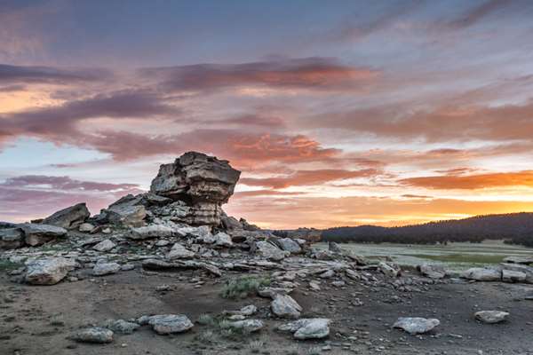 VERMEJO A TED TURNER RESERVE - Photo 3