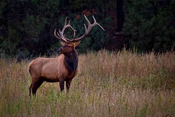 VERMEJO A TED TURNER RESERVE - Photo 16