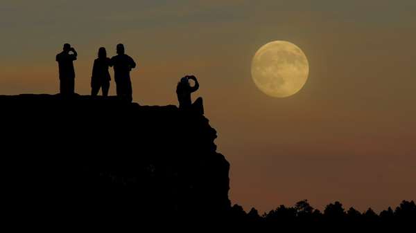 VERMEJO A TED TURNER RESERVE - Photo 15