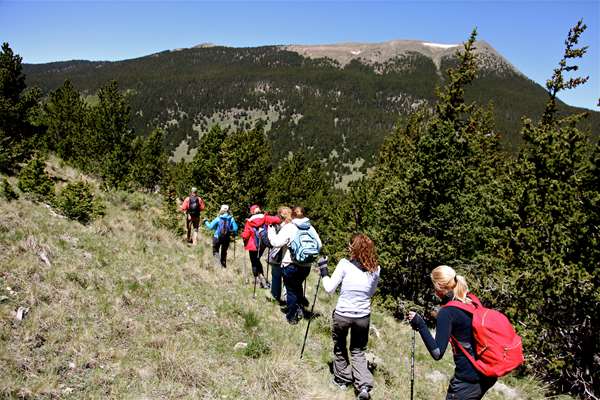 VERMEJO A TED TURNER RESERVE - Photo 23