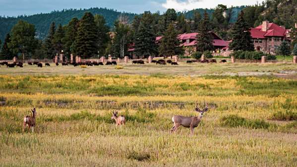 VERMEJO A TED TURNER RESERVE - Photo 29