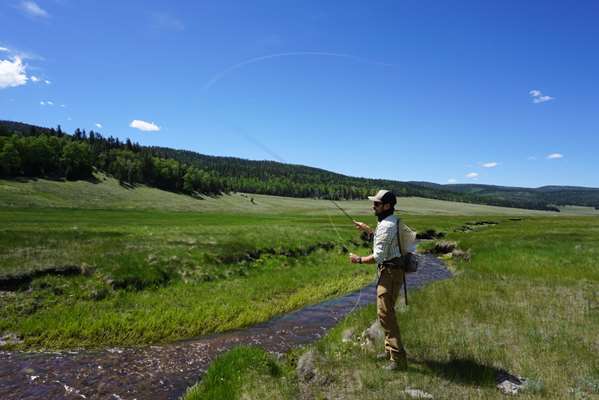 VERMEJO A TED TURNER RESERVE - Photo 37