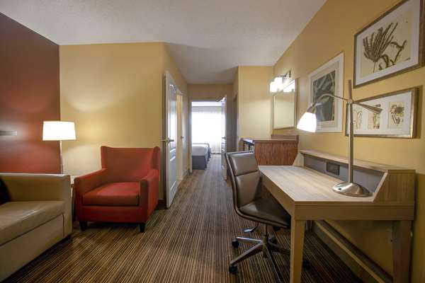 Suite - Comfort Inn & Suites Northeast St Paul - I-35 E, Exit 115