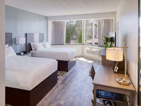 Suite - Sea Crest Beach Hotel North Falmouth